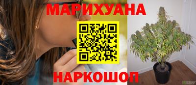 гашишное масло Гусев