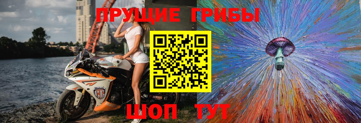 Междуреченск  Галлюциногенные грибы прущие грибы  Вход с VPN 